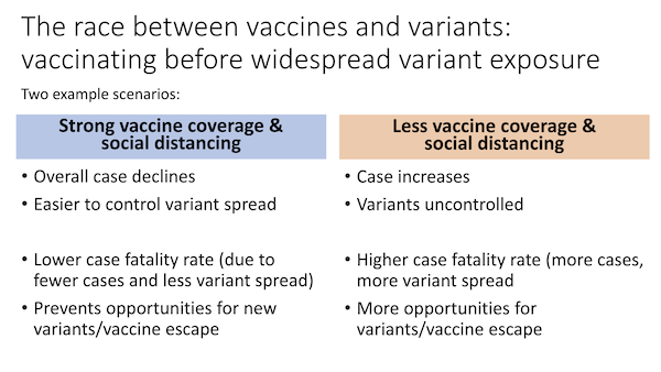 image  of the first slide from the Race Between Vaccines and Variants slide deck