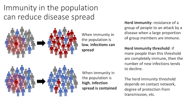 image  of the first slide from the Herd Immunity slide deck