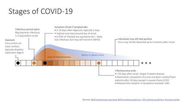 small image of an example infographic, illustrating the stages of COVID